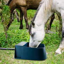 Load image into Gallery viewer, Farm Equipment Automatic Float Valve Water Trough PP Livestock Drinking Bowl Farm Feeding Apparatus for Horse Sheep Cow
